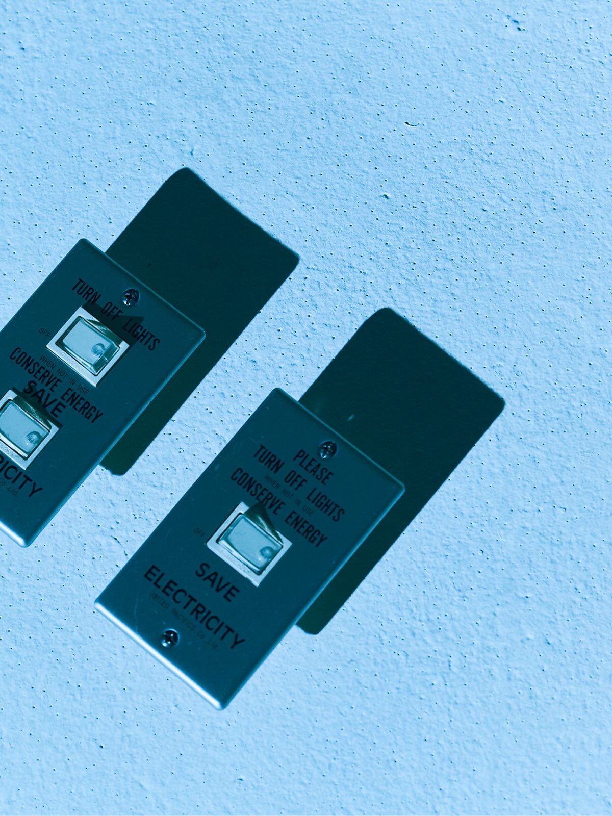 502587399_18314374915227443_6615524670462948821_n.jpg