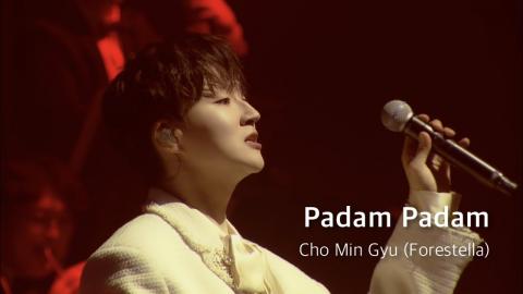 260831 [Official Live 2025] 조민규 (Forestella) - Padam Padam