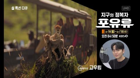 260211 [설 특선다큐 예고] '포레스텔라 고우림'과 함께하는 포유류 대탐험 ☀️3부작 '지구의 정복자 포유류'☀️