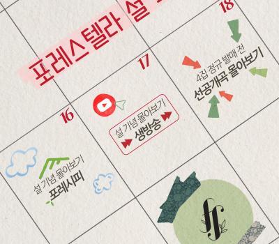 260213 포레스텔라 X(트위터)