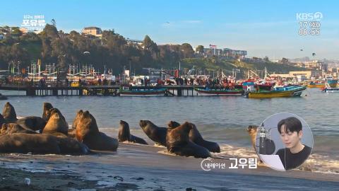 260217 지구의 정복자 포유류 2부