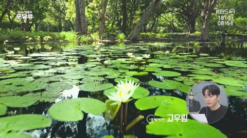 260218 지구의 정복자 포유류 3부